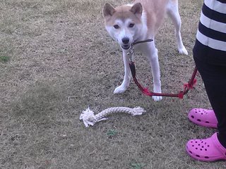 COCO2.jpg