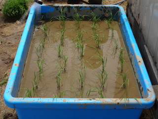 DSC00645.JPG