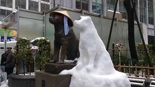 DSC_2373.jpg